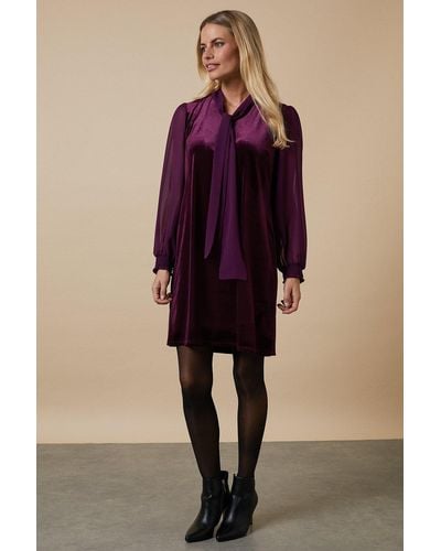 Wallis Petite Plum Tie Neck Velvet Shift Dress - Purple