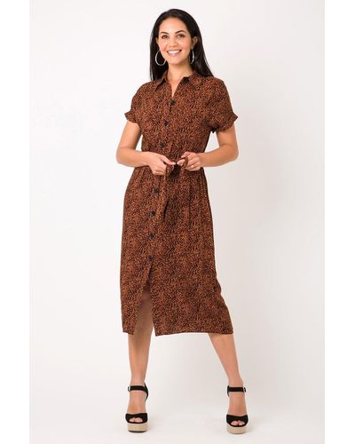 Krisp Leopard Print Short Sleeve Shirt Dress - Brown