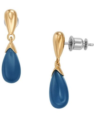 Skagen Sea Glass Stainless Steel Earrings - Skj1625710 - Blue