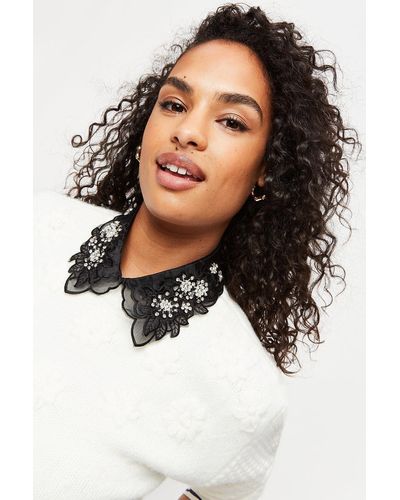 Dorothy Perkins Black Embellished Collar