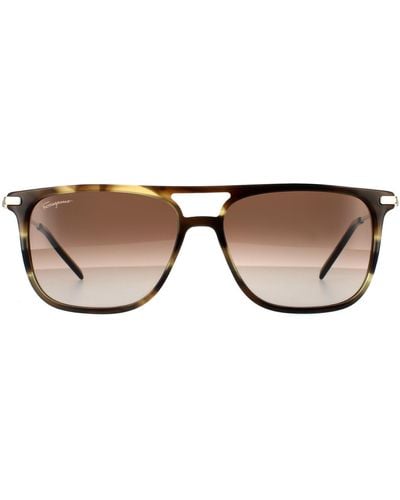Ferragamo Square Striped Khaki Brown Gradient Sunglasses