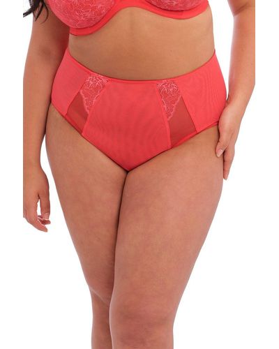 Elomi Briana Full Brief - Pink