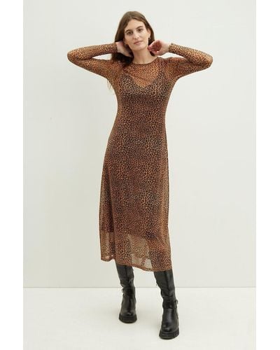 Dorothy Perkins Leopard Mesh Long Sleeve Midi Dress - Natural