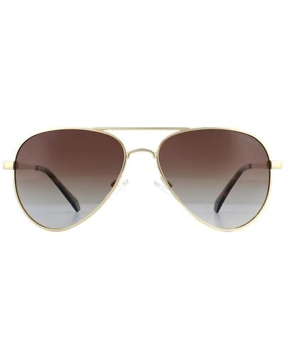 Polaroid Aviator Gold Brown Gradient Polarized Sunglasses