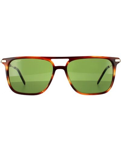 Ferragamo Square Striped Brown Solid Green Sunglasses