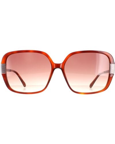 Ted Baker Square Tortoise Brown Brown Gradient Tb1616 Indi