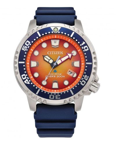 Citizen Eco-drive Mens Promaster Diver Classic Watch - Bn0169-03x - Blue
