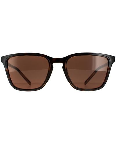 Dolce & Gabbana Square Havana Dark Brown Gradient Dg6145 Sunglasses
