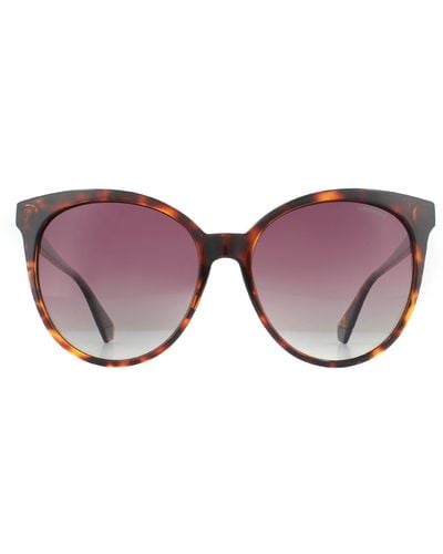 Polaroid Cat Eye Havana Burgundy Gradient Polarized Sunglasses - Brown