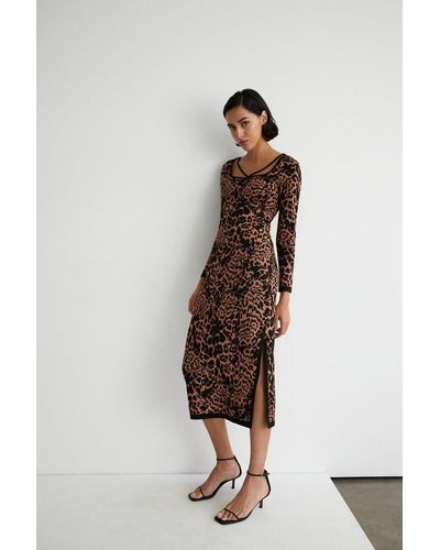 Warehouse Metallic Leopard Jacquard Knit Midi Dress - Multicolour