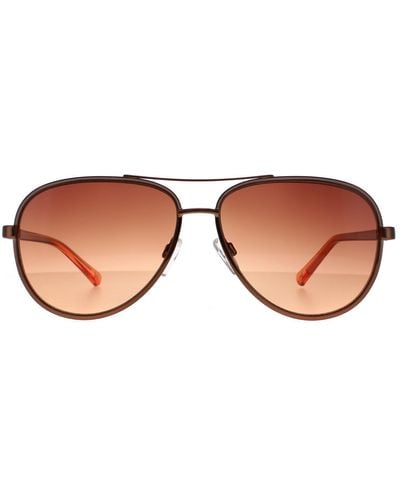 Ted Baker Aviator Copper Brown Brown Gradient Tb1644 Sunnia Sunglasses