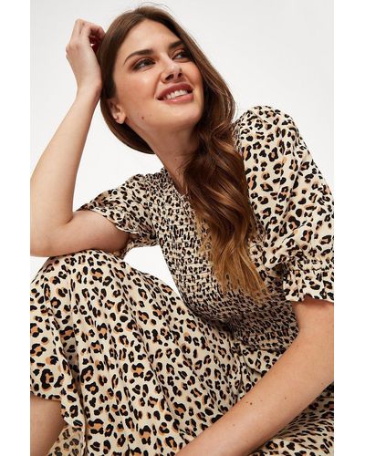 Dorothy Perkins Tall Leopard Print Shirred Body Midi Dress - Brown
