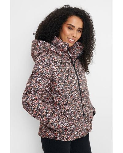 Threadbare 'ditsy' Printed Hooded Padded Jacket - Brown