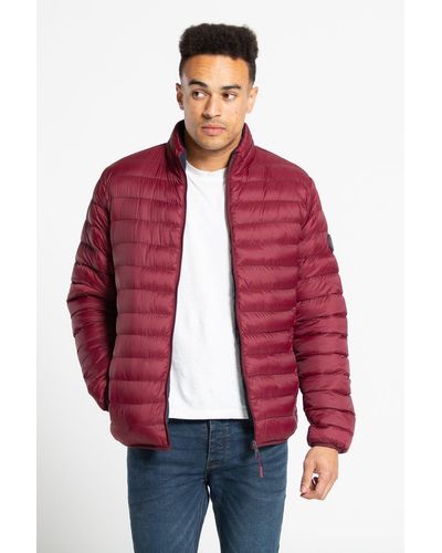 Tokyo Laundry Padded Funnel Neck Jacket - Red