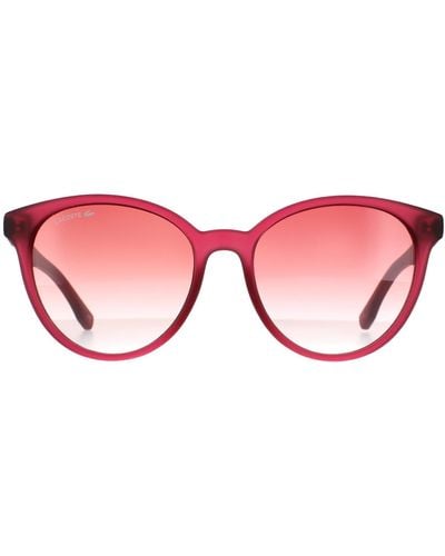 Lacoste Round Transparent Cyclamen Pink Gradient Sunglasses