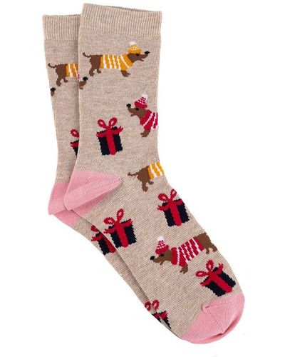 Totes Single Pack Of Dog Print Un-treaded Novelty Ankle Socks - Pink