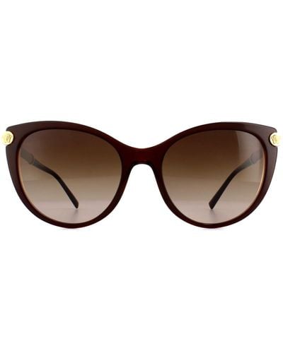 Versace Cat Eye Top Brown & Transparent Brown Gradient Sunglasses