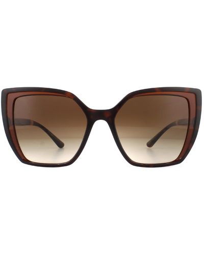 Dolce & Gabbana Square Havana On Transparent Brown Brown Gradient Sunglasses