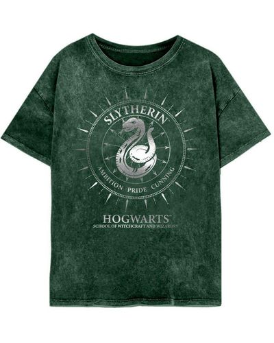 harry potter pride shirt