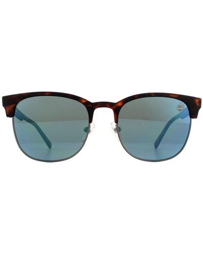 Timberland Round Havana Blue Polarized Sunglasses - Brown