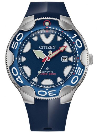 Citizen Eco Drive Promaster Orca Stainless Steel Classic Watch Bn0231-01l - Blue