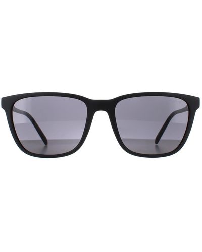 Calvin Klein Butterfly Black Grey Gradient Ck20518s Sunglasses