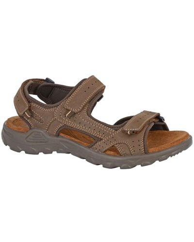 Roamers Leather Flat Sports Sandals - Brown