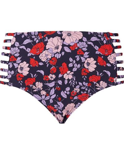 Dorothy Perkins Petite Puple Floral Highwaisted Brief - Red