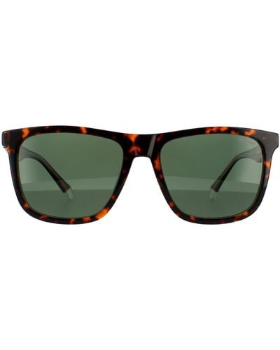 Polaroid Square Havana Green Polarized Sunglasses