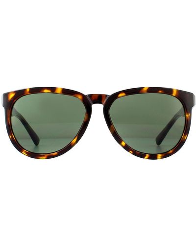 DIESEL Oval Dark Havana Green Sunglasses