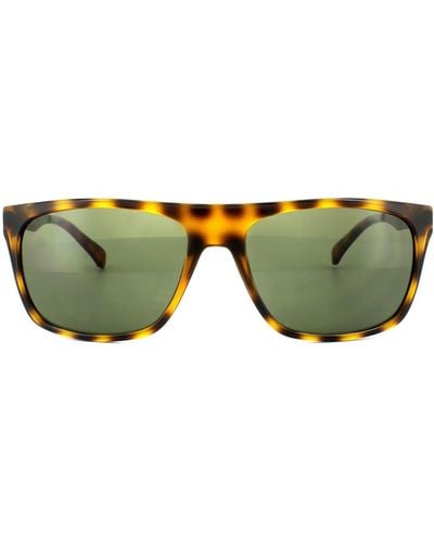 Calvin Klein Square Warm Tortoise Grey Sunglasses - Brown