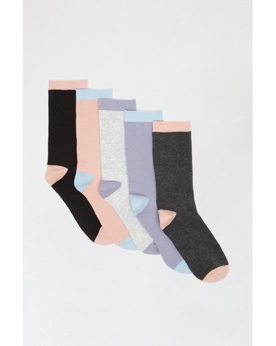 Dorothy Perkins Pastel 5 Pack Ankle Sock - Multicolour