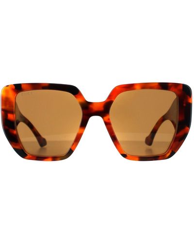 Max Mara Cat Eye Havana Brown Gradient Classy Sunglasses