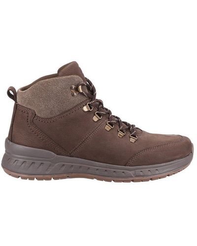 Cotswold Avening Boots - Brown