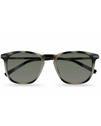 Ted Baker 'cove' Tortoise Shell Sunglasses - Grey