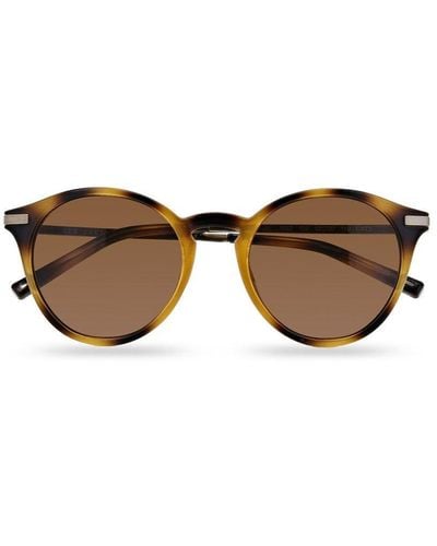 Ted Baker 'ashton' Tortoise Shell Sunglasses - Brown
