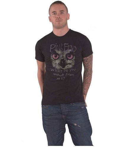 Pink Floyd What Do You Want From Me? Owl T-shirt - Blue