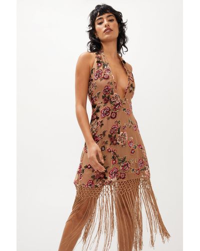 Nasty Gal Embellished Devore Halter Neck Fringe Mini Dress - Brown