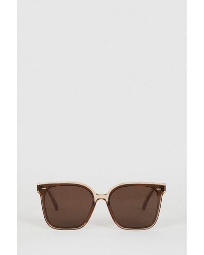Oasis Two Tone Square Sunglasses - Brown