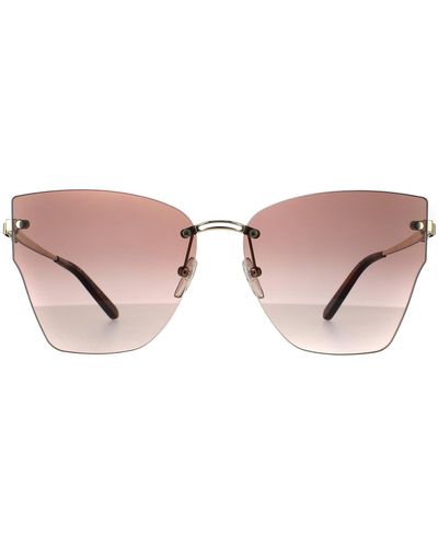 Ferragamo Fashion Gold Brown Gradient Sunglasses - Pink