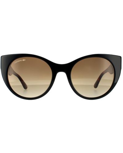 Lacoste Cat Eye Black And Havana Brown Gradient Sunglasses