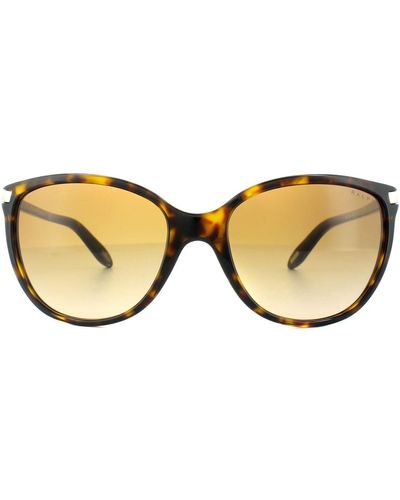 Ralph By Ralph Lauren Cat Eye Dark Tortoise Brown Gradient 5160 Sunglasses
