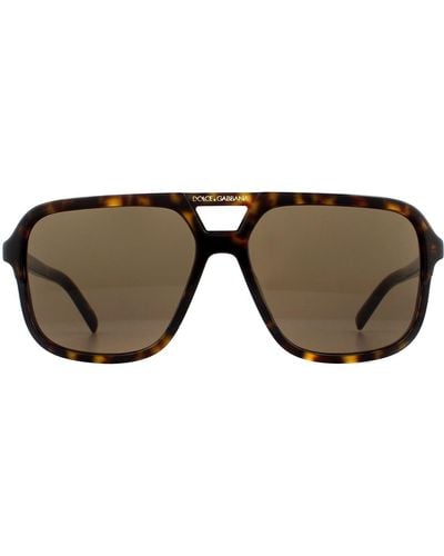 Dolce & Gabbana Aviator Havana Brown Gradient Sunglasses