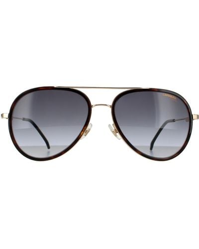 Carrera Aviator Dark Havana Dark Grey Gradient Sunglasses - Black