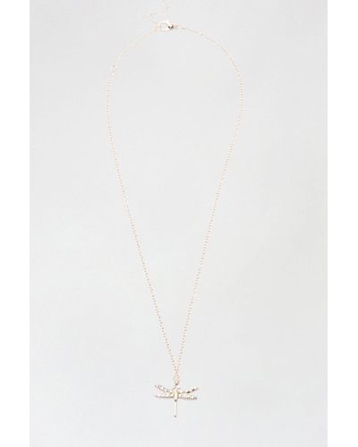 Dorothy Perkins Gold Delicate Dragonfly Detail Chain - White