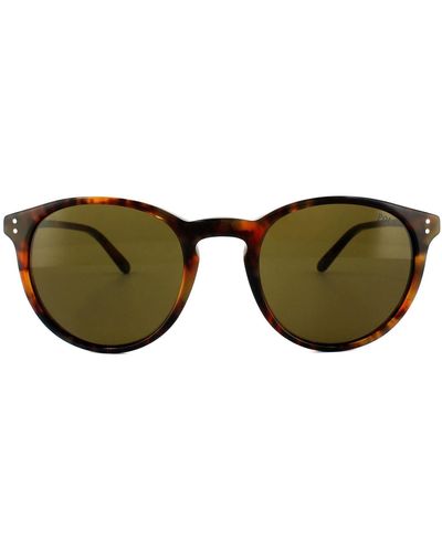 Polo Ralph Lauren Round Havana Brown Sunglasses