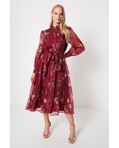 Oasis Berry Floral Organza Belted Midi Shirt Dress - Red
