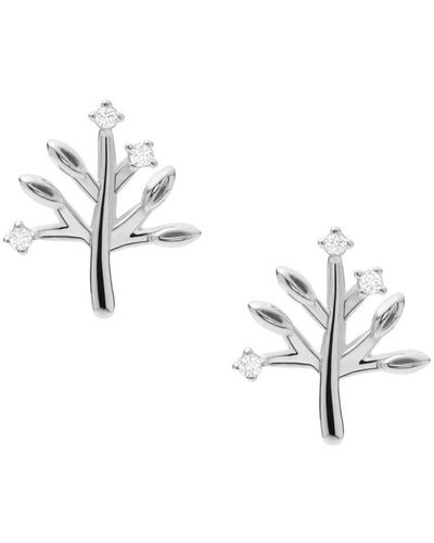 Fossil Sterling Silver Sterling Silver Earrings - Jfs00548040 - Metallic