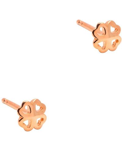 Pure Luxuries London Gift Packaged 'katrina' 18ct Rose Gold 925 Silver Four Leaf Clover Stud Earrings - White