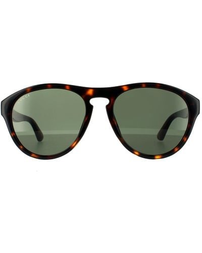 Gucci Aviator Havana Green Sunglasses